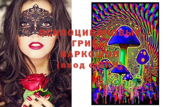 кокаин Каменногорск